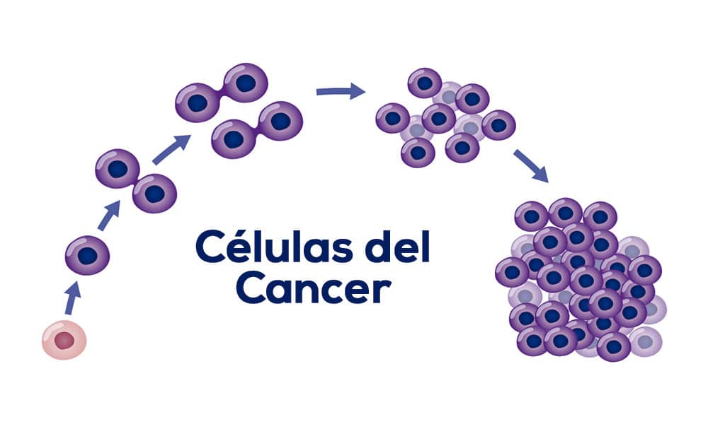 images/noticias/1548936368-Identificanelmecanismoquehacequeelcancercreemetastasis.jpg