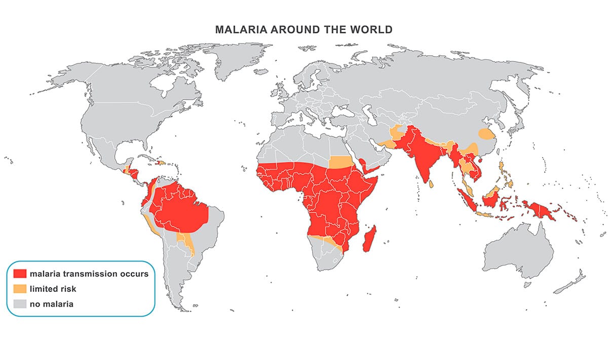 images/noticias/1623839120-lamalariamasmortiferallegoaEuropadesdelaIndia.jpg